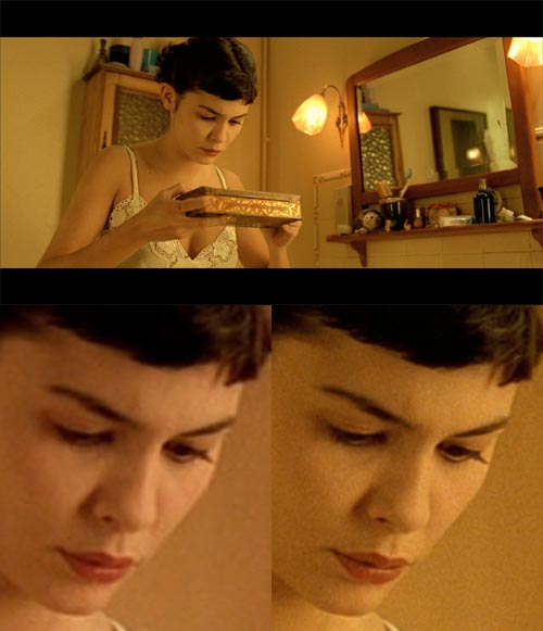 DVD - The Fabulous Destiny of Amelie Poulain